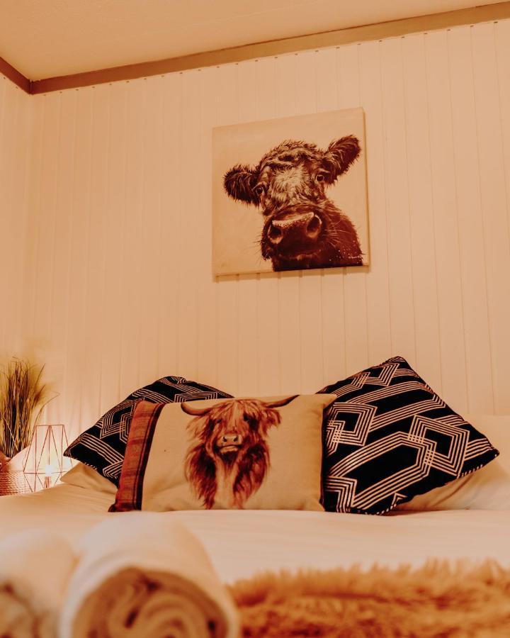 Wooden Cosy Retreat Hunters Quay Vila Dunoon Exterior foto